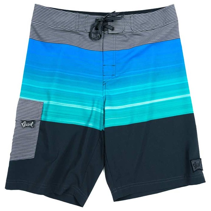 Blue striped boardshort design